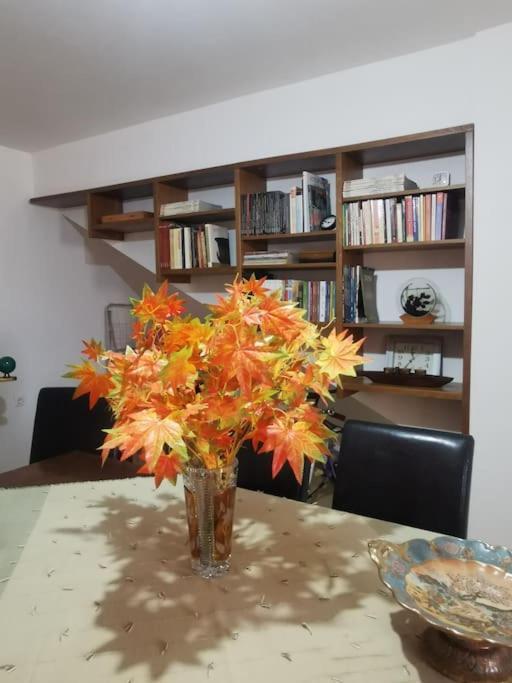 Διαμερισμα 2Υδ Apartman Pérdika Kültér fotó