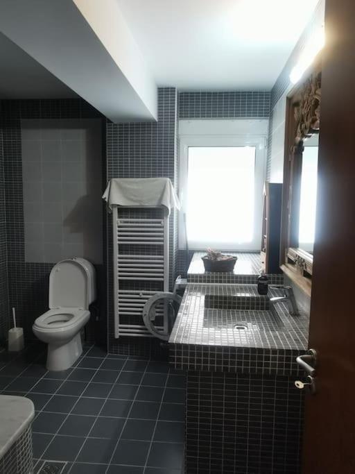 Διαμερισμα 2Υδ Apartman Pérdika Kültér fotó